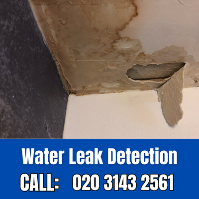 Expert Water Leak Detection Services in Swiss Cottage | Swiss Cottage Leak Detection